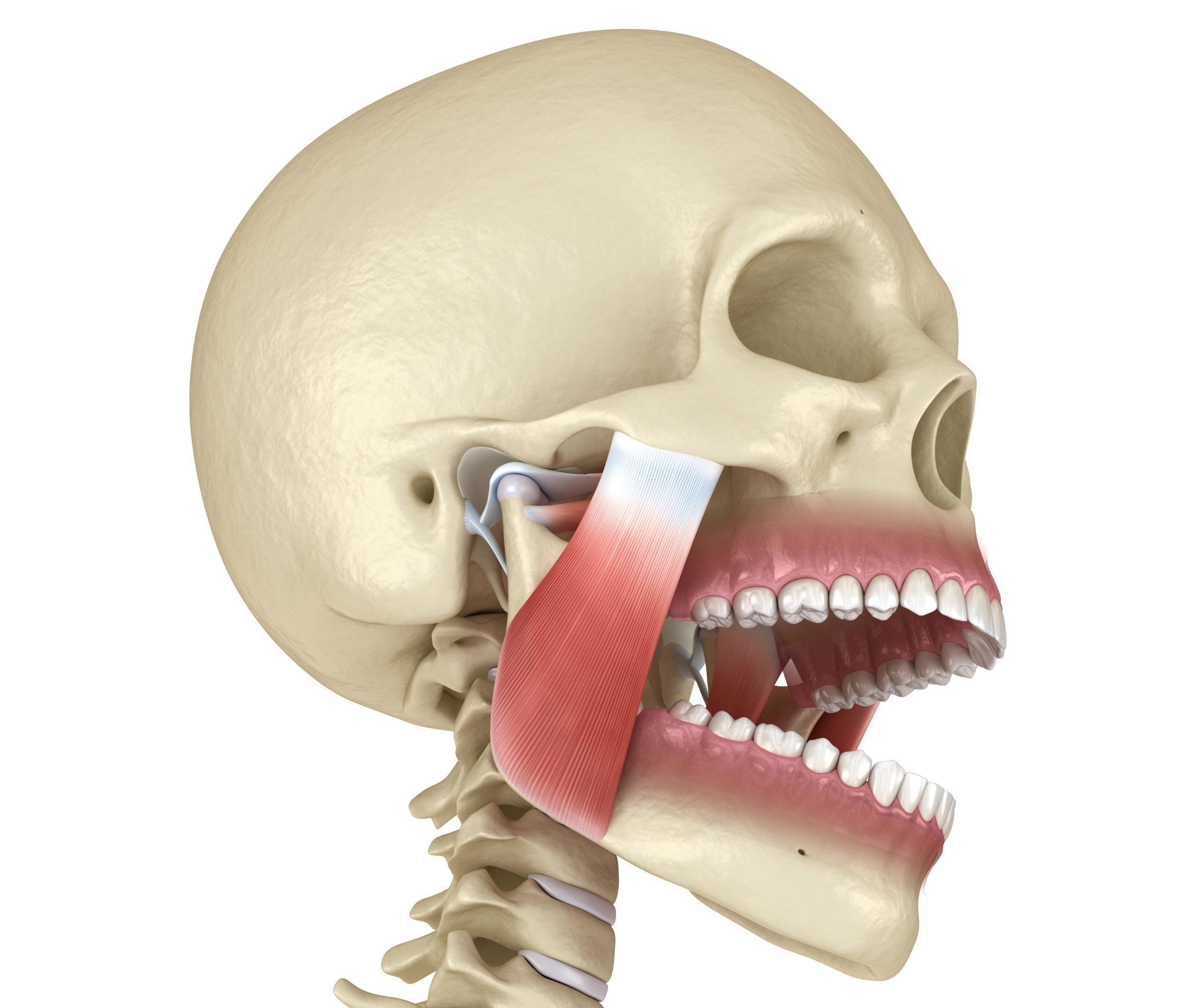 TMJ Pain Relief Without Surgery: Natural and Non-Invasive Solutions